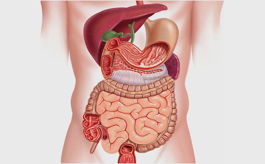 Best Trauma Emergency Care Hospital in Bangalore JMRH Hospital