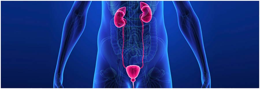 best pharmacy in bangalore JMRH Hospital